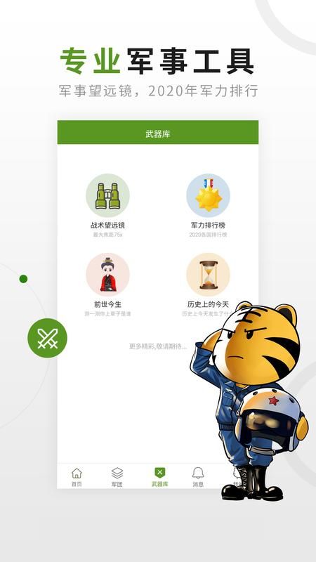 迷彩虎_图片2