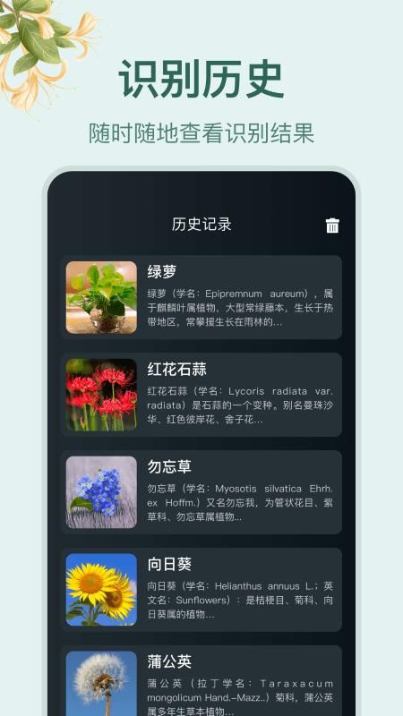 小园丁_图片3