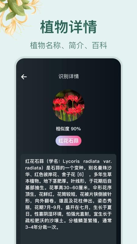 小园丁_图片2
