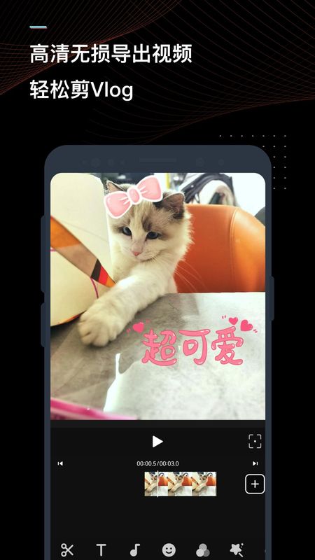 迅捷视频转换器_图片3