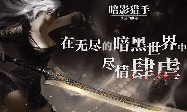 暗影猎手失落的世界_图片4