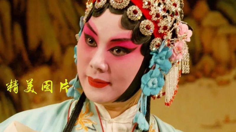 豫剧迷_图片4