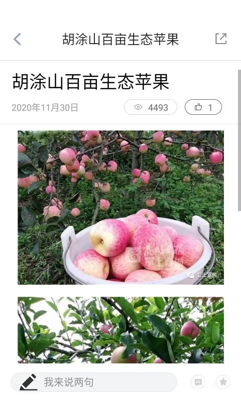 富民融媒_图片3
