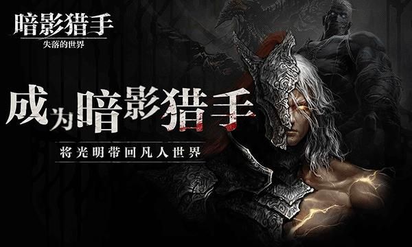 暗影猎手失落的世界_图片5
