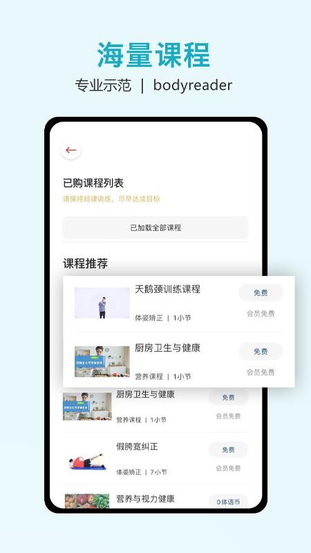 体语_图片3