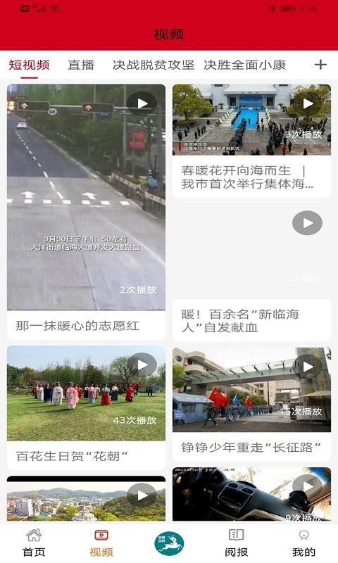 掌心临海_图片1