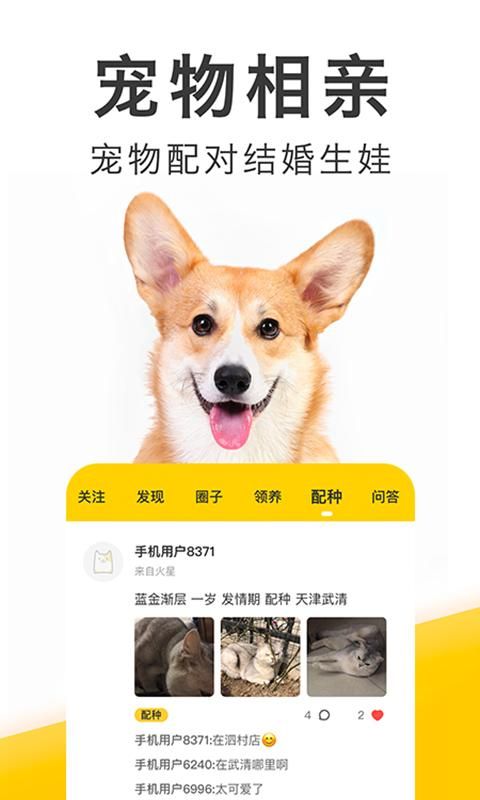 有只宠物_图片1