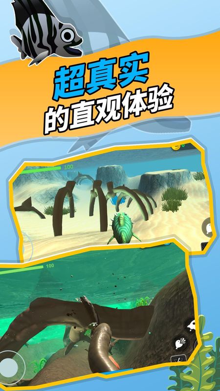 神秘海域_图片2