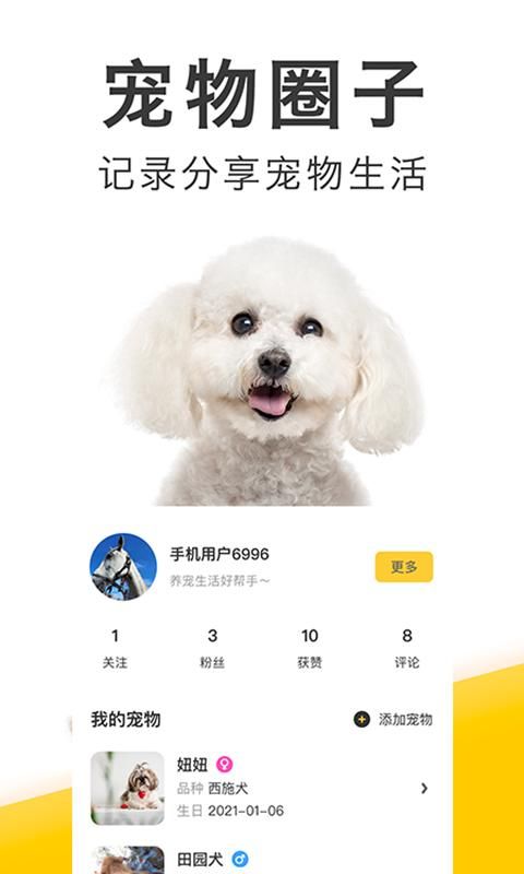 有只宠物_图片3