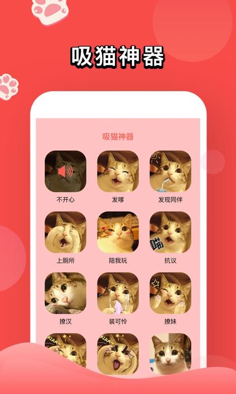 人猫交流器_图片2