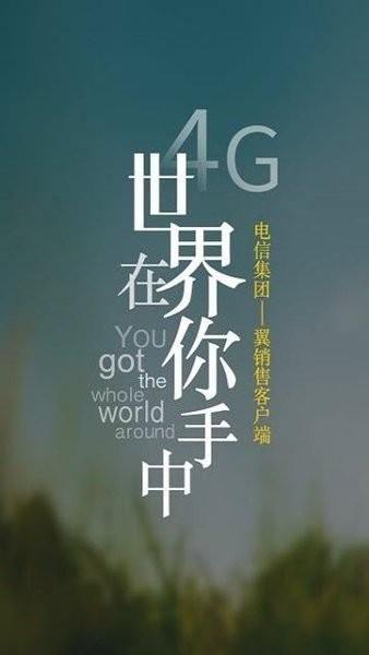 翼销售_图片1