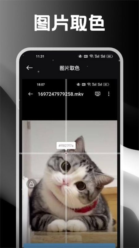 花漾盒子电视版_图片1