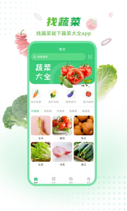 有机蔬菜官方下载_图片3