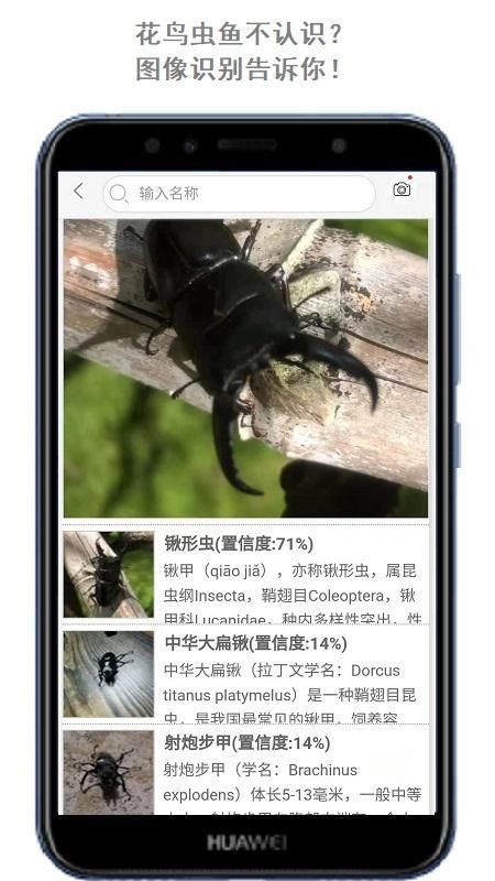 万物头条_图片3