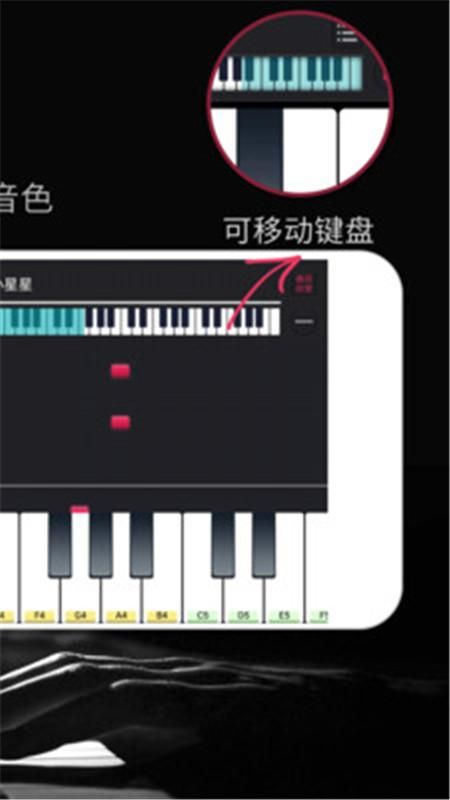 钢琴键盘_图片4