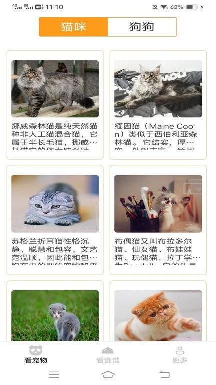 奇趣爱看免费版_图片2