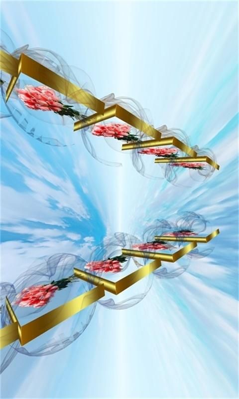 幻影3D2023_图片2