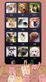 猫语翻译器_图片6