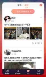 猫语翻译器_图片3