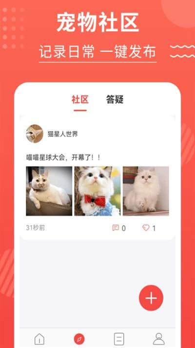 猫猫翻译器_图片1