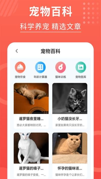 猫猫翻译器_图片4