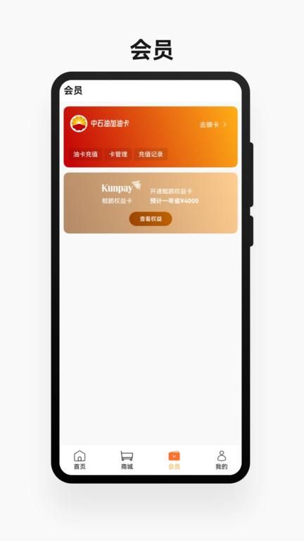 鲲鹏快付_图片3