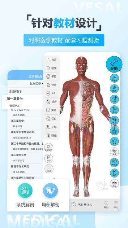 维萨里3d解剖_图片1