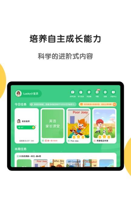 斑马_图片1
