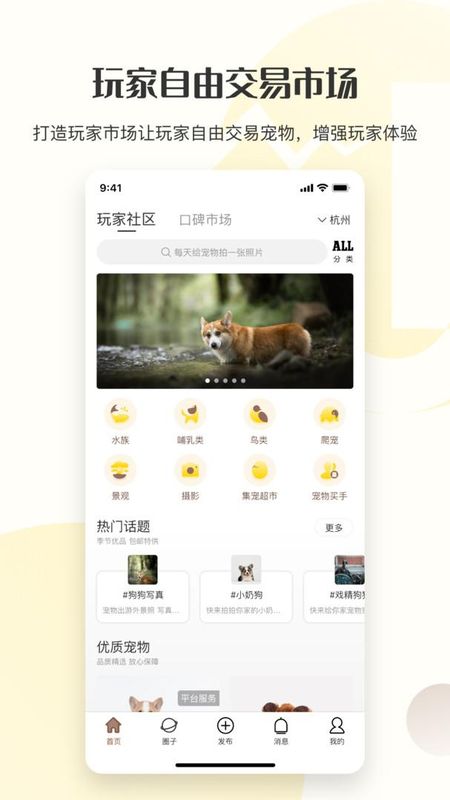 集宠区_图片1