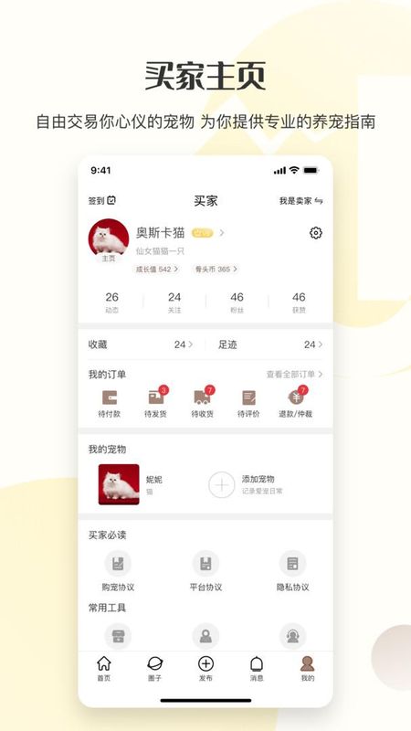 集宠区_图片4