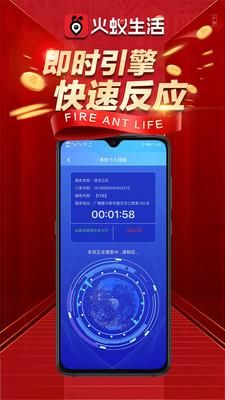 火蚁生活_图片3