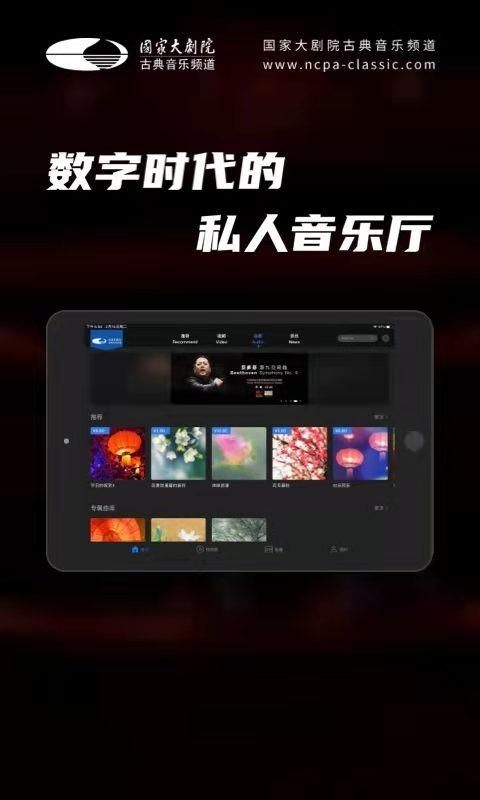 大剧院古典HD_图片3
