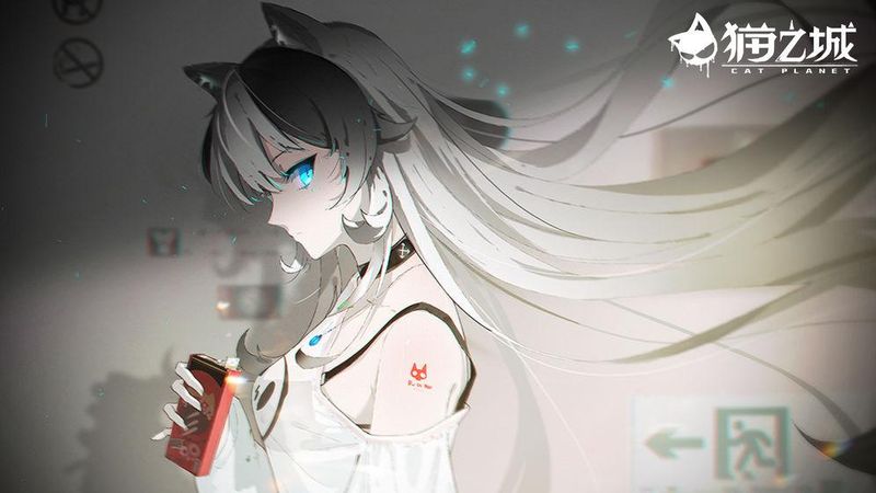猫之城_图片2