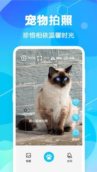 猫语翻译精灵_图片1