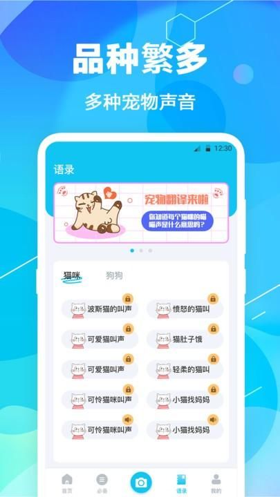猫语翻译精灵_图片3