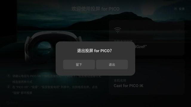 投屏 for pico _图片2