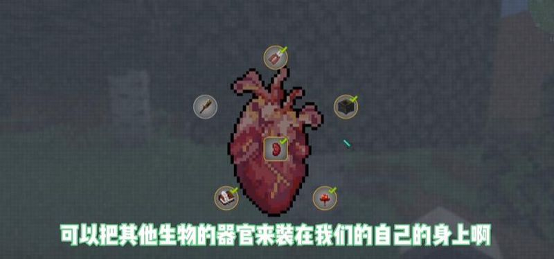 脆骨症_图片3