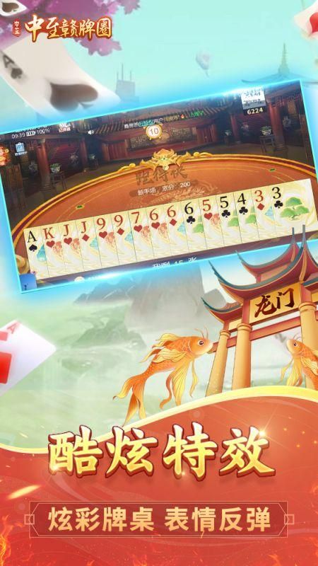 中至赣牌圈_图片5
