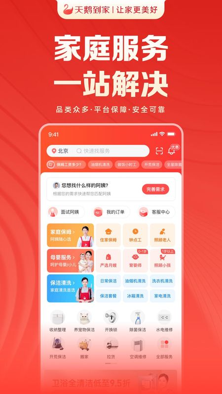 天鹅到家_图片1