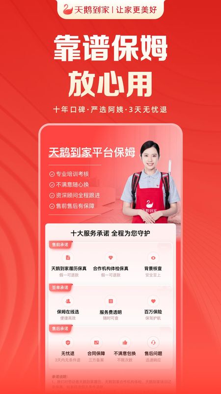 天鹅到家_图片2