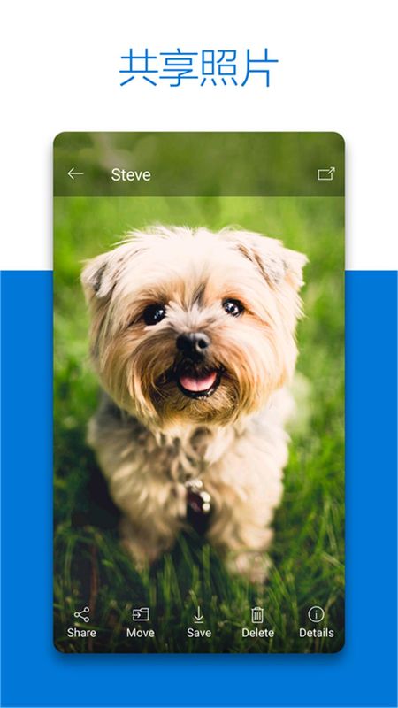 Microsoft OneDrive_图片2