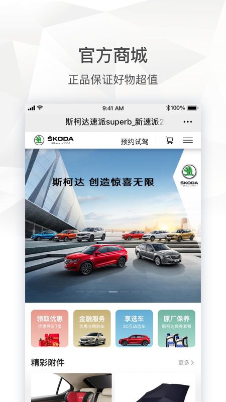 斯柯达_图片5