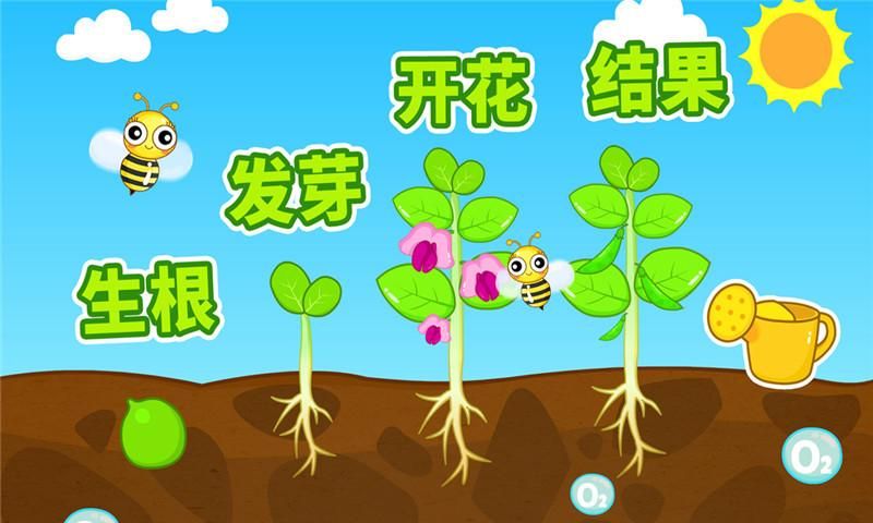 宝宝爱自然_图片2