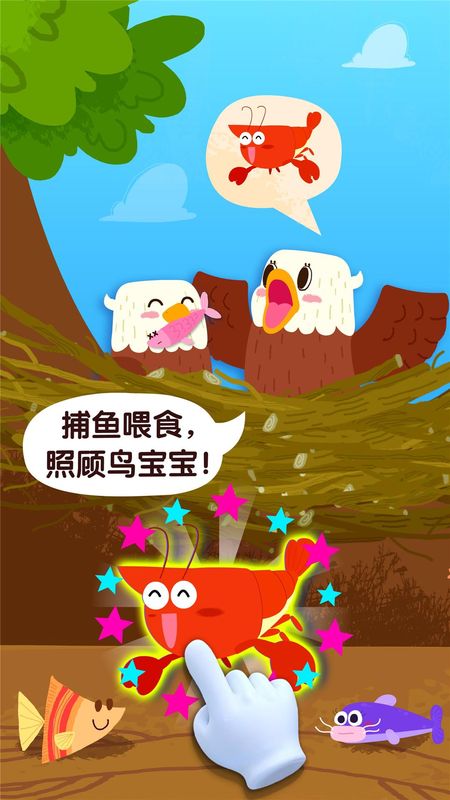 宝宝鸟类认知_图片2