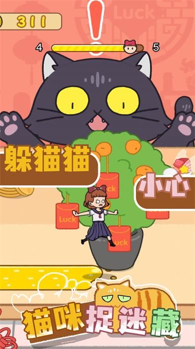 猫咪捉迷藏_图片4