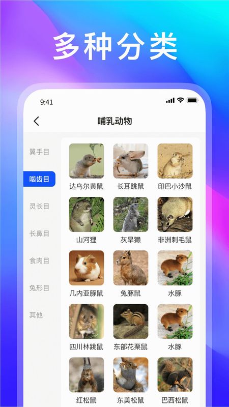 动物世界_图片1