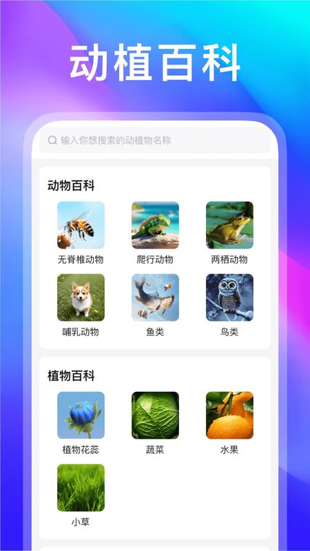 动物世界_图片2