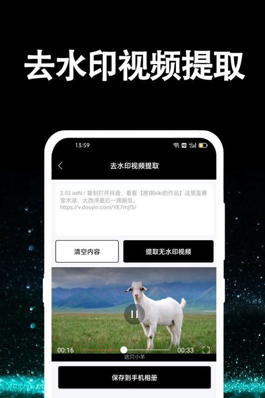 视频提取大师_图片2