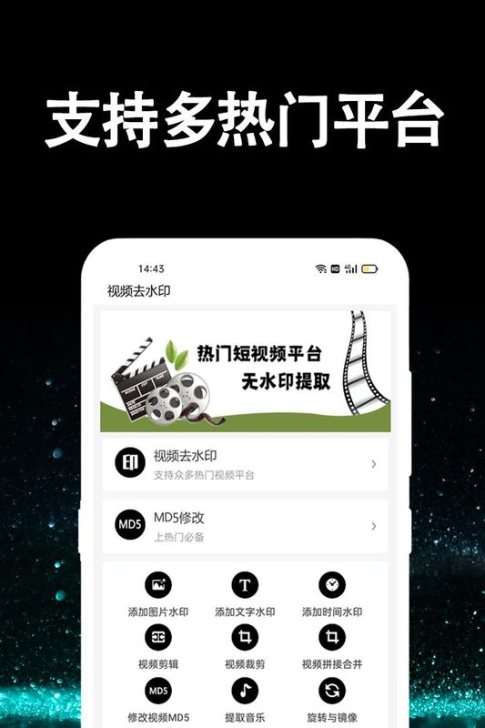 视频提取大师_图片1