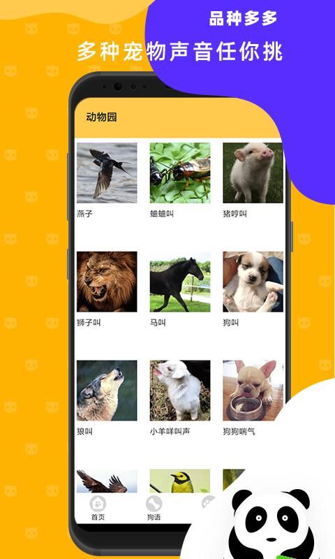 猫狗翻译神器_图片3